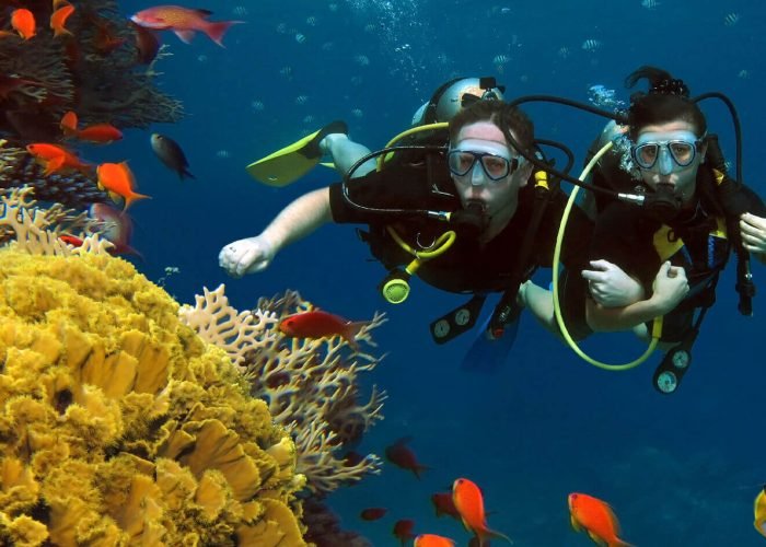 Diving-from-Sharm-El-Sheikh,-Ras-Mohammed-Nature-Bark